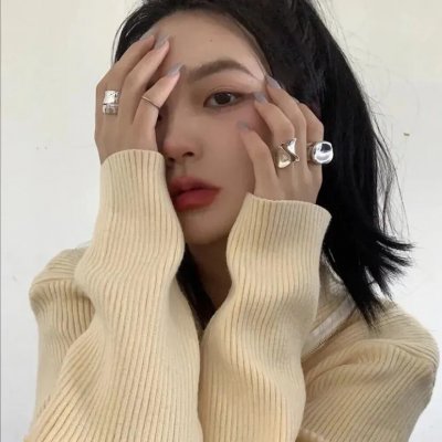 翱翔于天际的夜鹰